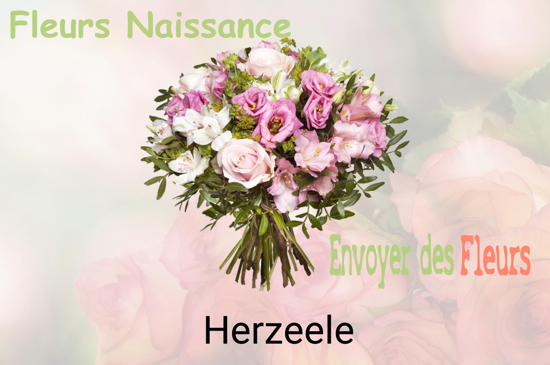 Bouquet de fleurs de naissance livré à Herzeele